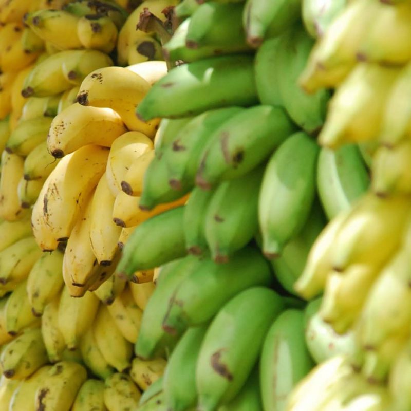 ARM Hub is working with banana farmers to help automate the industry